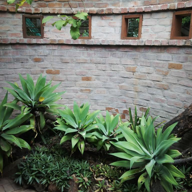 Zebrina Guest House Mbombela Extérieur photo